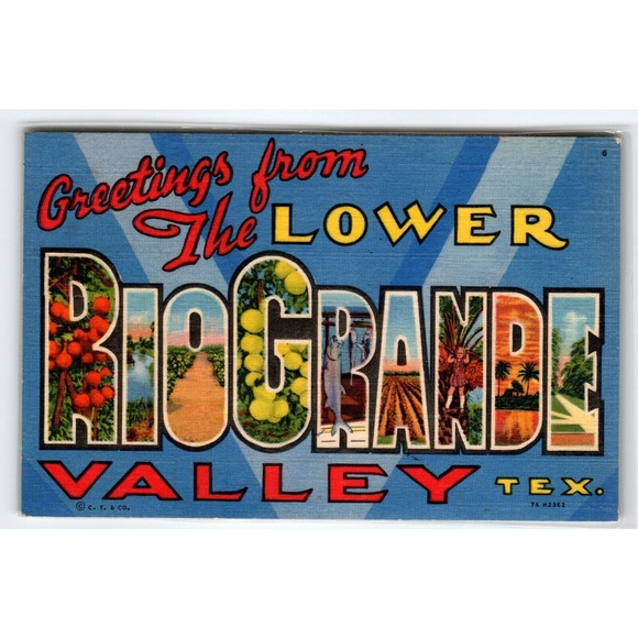 Greetings From Lower Rio Grande Valley Texas Large Letter Postcard Linen 1951 - Picture 1 of 2